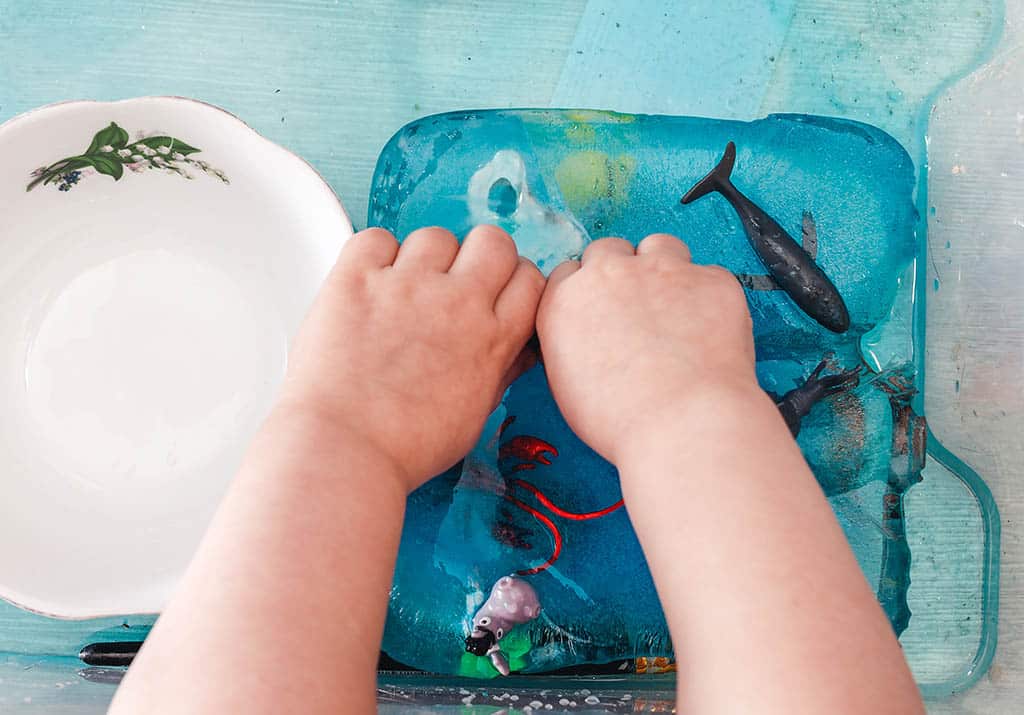 White appearing baby trying to get animal figures out of ice