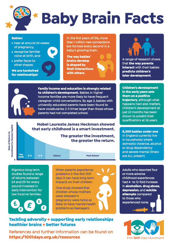 Multi-coloured infographic of baby brain facts